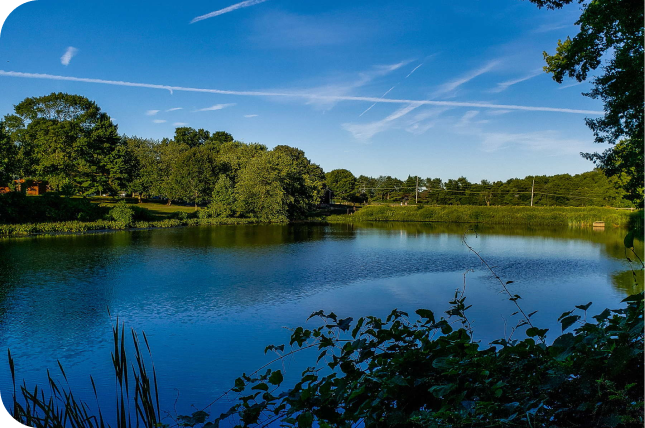 Holmdel landscape